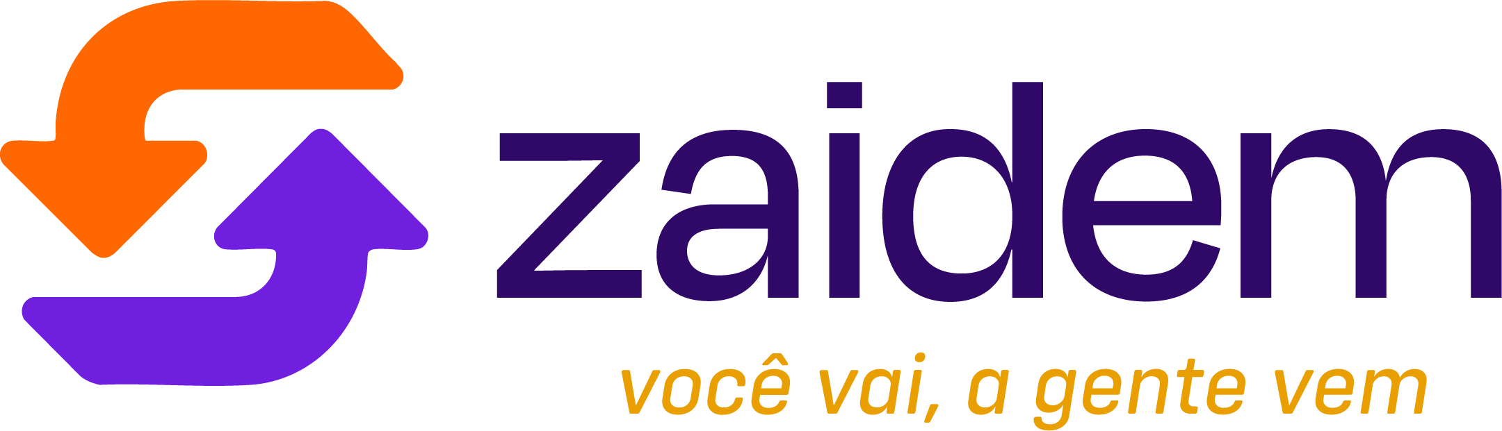 Zaidem Logo